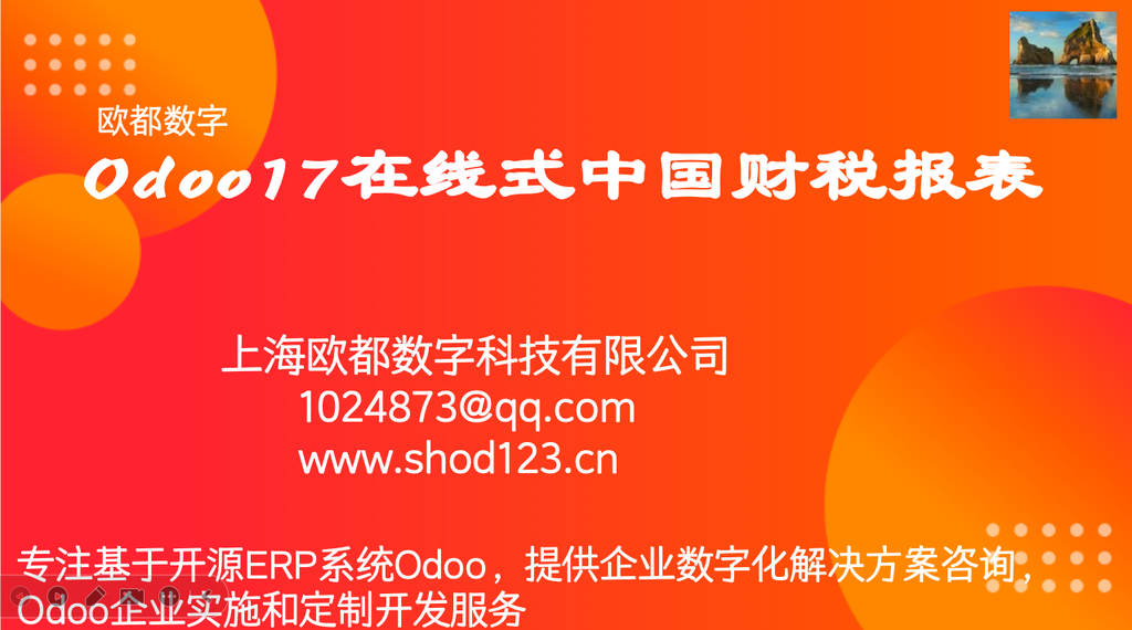 Odoo17在线式中国财税报表