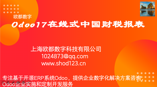 Odoo17在线式中国财税报表